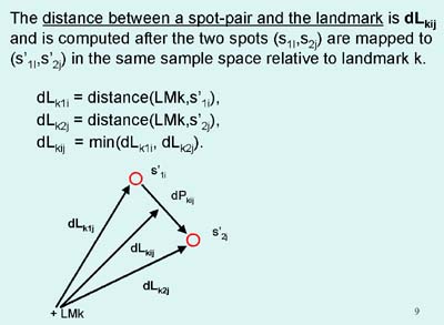 Definition of DL - distance between spot pair and landmark