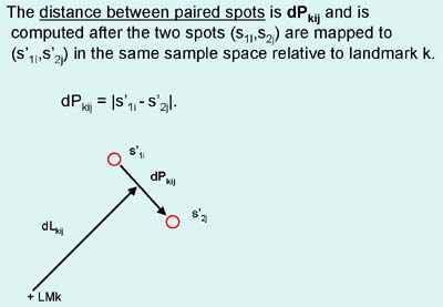 Definition of DP - distance between spots