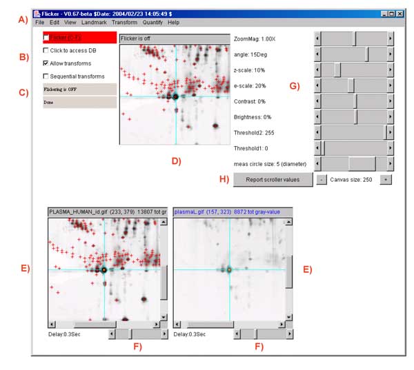 Screen view of Flicker program