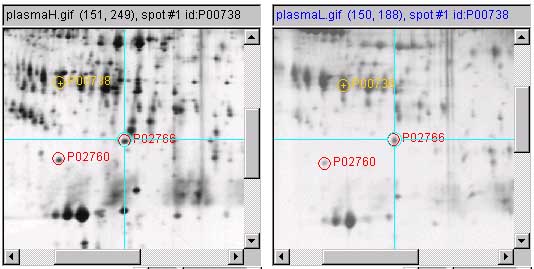 Assigning ID labels for spots previously identified