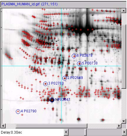 Spots in image after lookup identifiers