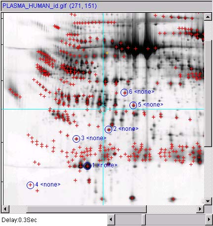 Define a set of spots to measure