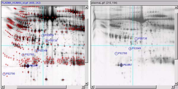 Define a list of spots in other gel