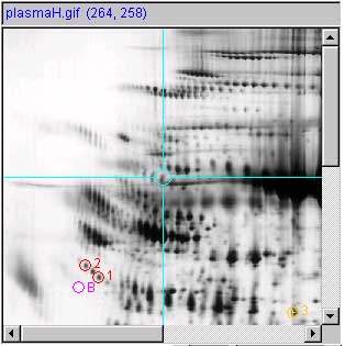 panel b.1 - image measured spot list 3 spots