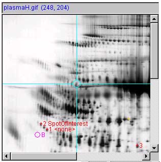 panel d.1 - image annotated 3 measured spots