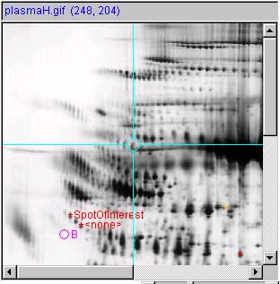 panel e.1 - image annotated 3 measured spots