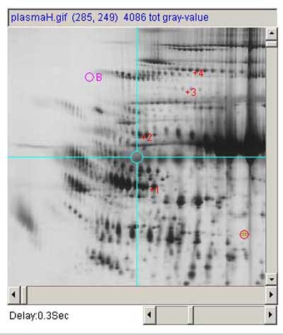 Image showing measuring multiple spots