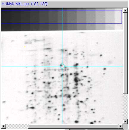 Calibrating ND wedge ROI image