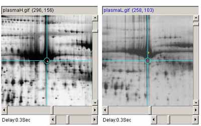 Example - after adjusting image contrast of one image to the other