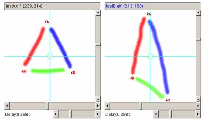 Affine landmarked test images A and B