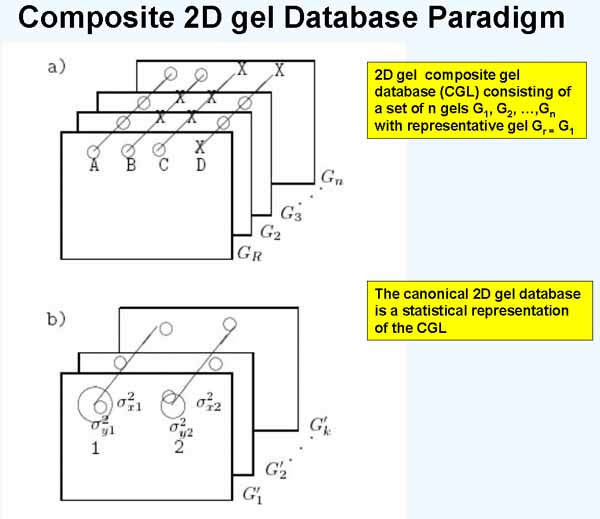 Compsite Gel Database