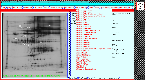 Some possible GELLAB-II database queries