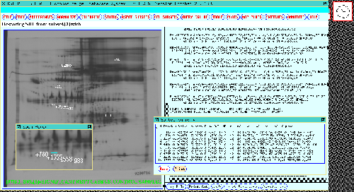 Results from 77 gel database analysis