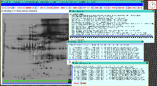 Results from 38 gel database analysis