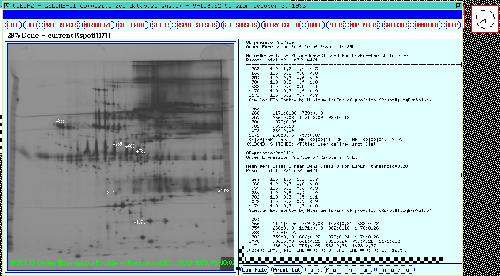 Ordered expression profile table