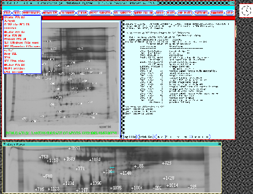 Composite gel database when started