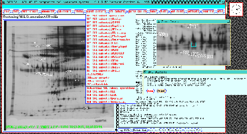 Dynamic Rmap showing spots in the database