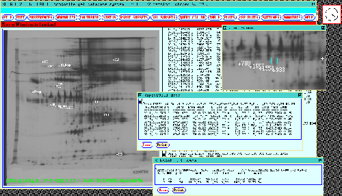 An Rspot's numeric values